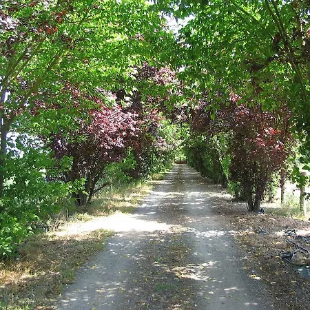 Bed & Breakfast Logis De Semur Mareil-sur-Loir